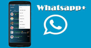 WhatsApp +
