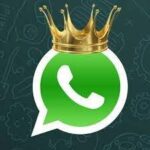 mc whatsapp application